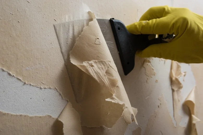 Close-up of wallpaper edge and surface detail